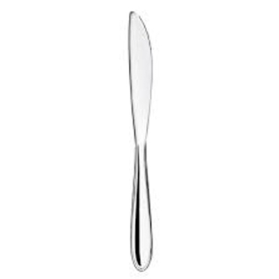 FACA INOX LAGOA UND